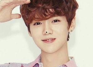 明星排行榜,璀璨星光闪耀娱乐圈