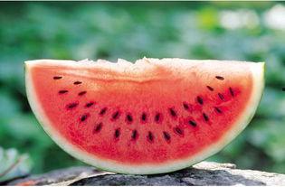 51朝阳吃瓜群众 热门大瓜每日必吃,51朝阳吃瓜群众热门大瓜盘点