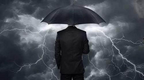 职场规则 独家爆料官网